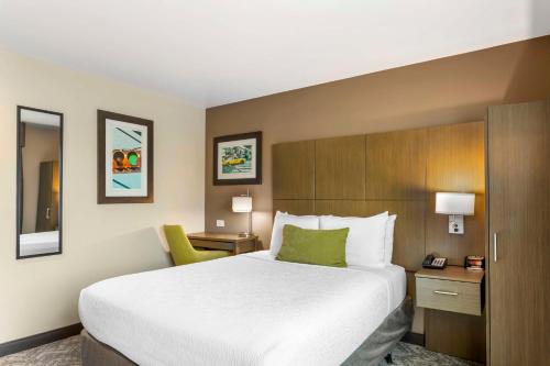 Habitación con cama grande y bañera adaptada para personas de movilidad reducida del hotel Best Western Brooklyn-Coney Island Inn. Foto 3