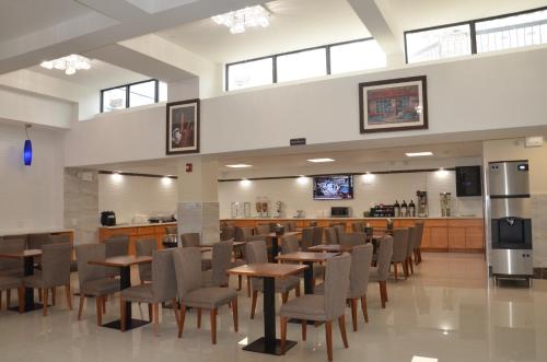 Habitación Estándar - Cama extragrande del hotel Lic Plaza