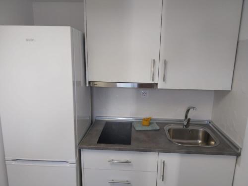 Estudio del hotel Monopol. Foto 4