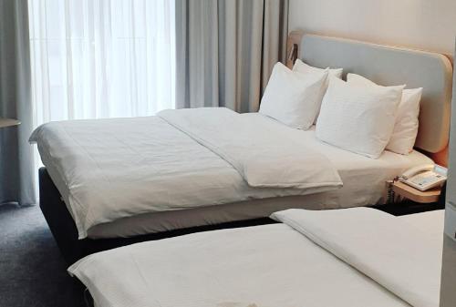 Habitación Estándar con sofá cama individual - Cama grande del hotel Holiday Inn Express Baden-Baden. Foto 5