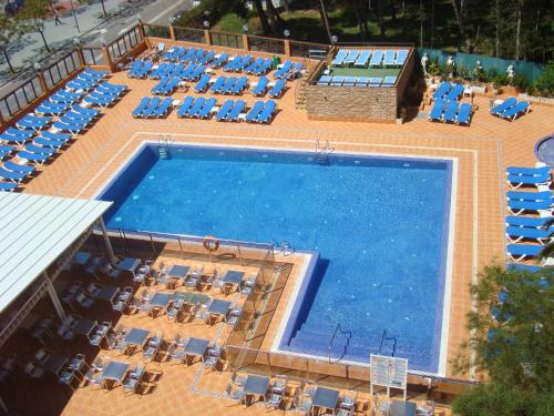Habitación Doble con vistas a la piscina - 1 o 2 camas del hotel Univers