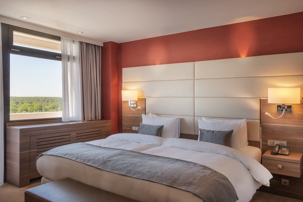Suite, 1 cama de matrimonio grande (Crowne Plaza) del hotel Crowne Plaza Frankfurt Congress , An Ihg