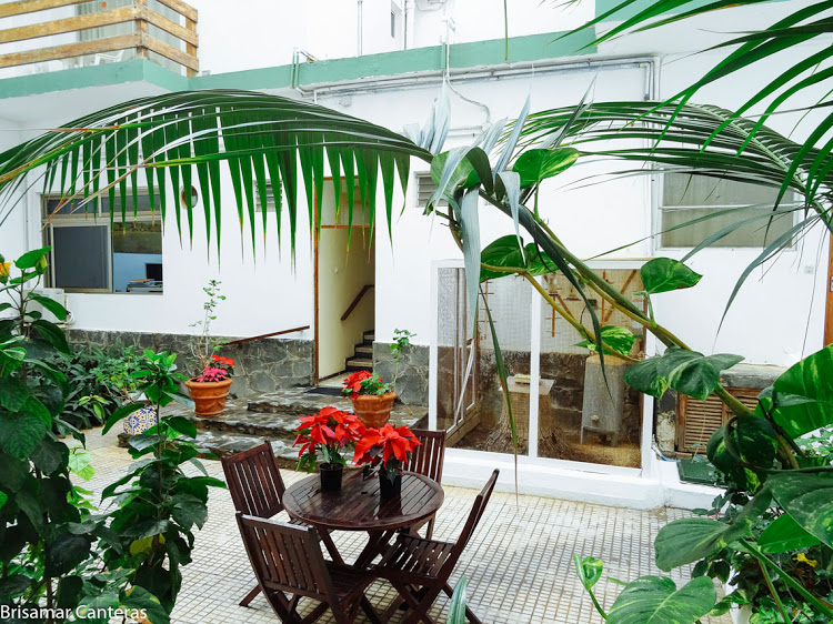 Estudio Vista Jardin del hotel Brisamar Canteras