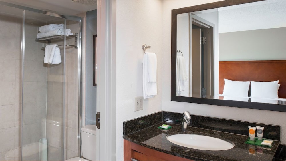 Cama king accesible/Bañera del hotel Hyatt Place Dallas/las Colinas. Foto 2