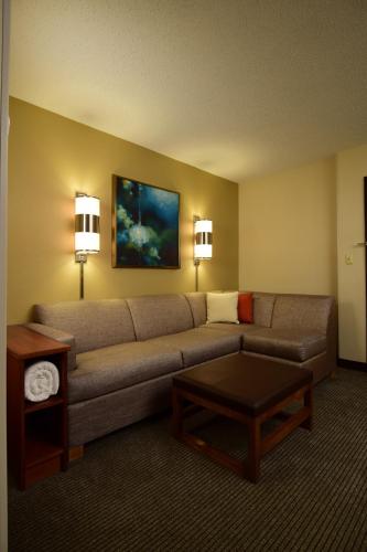 Cama King (con sofá - cama) del hotel Hyatt Place Dallas/las Colinas. Foto 2