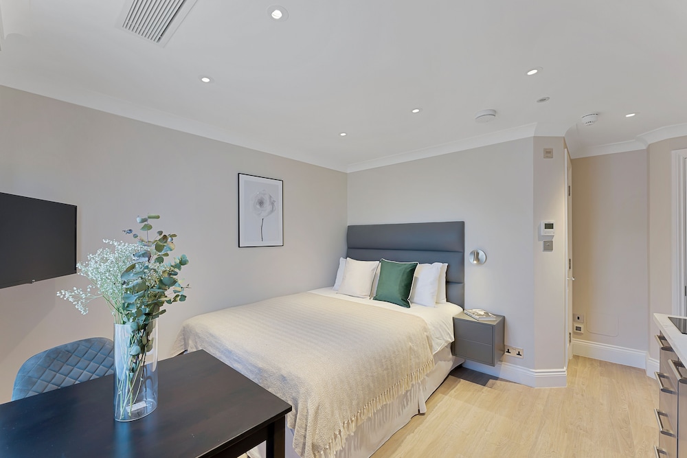 Estudio estándar, 1 cama doble, no fumadores del hotel Cleveland Gardens. Foto 23