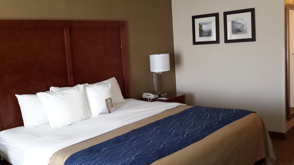 Habitación estándar, 1 cama de matrimonio grande, no fumadores del hotel Comfort Inn The Pointe. Foto 1