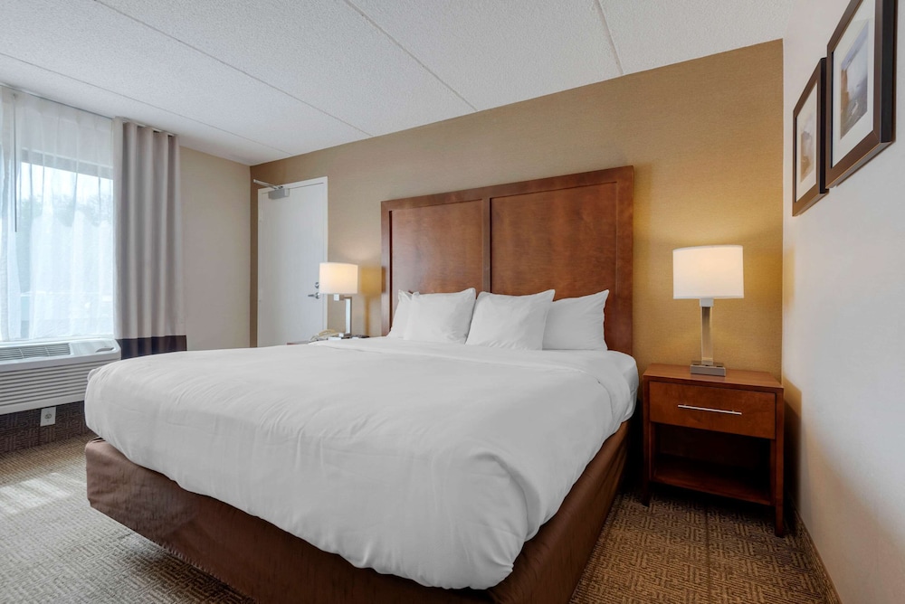 Habitación, 1 cama de matrimonio grande, accesible para personas con discapacidad, no fumadores del hotel Comfort Inn The Pointe. Foto 1