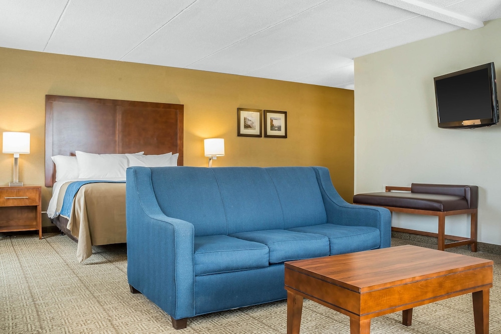 Suite, 1 cama de matrimonio grande con sofá cama, accesible para personas con discapacidad (Upgrade) del hotel Comfort Inn The Pointe