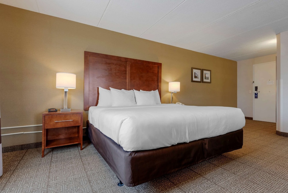 Suite, 1 cama de matrimonio grande con sofá cama, accesible para personas con discapacidad (Upgrade) del hotel Comfort Inn The Pointe. Foto 5