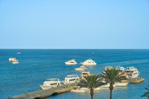 Suite Cupid de un dormitorio con cama extragrande y vistas al mar del hotel Hurghada Marriott Beach Resort. Foto 2