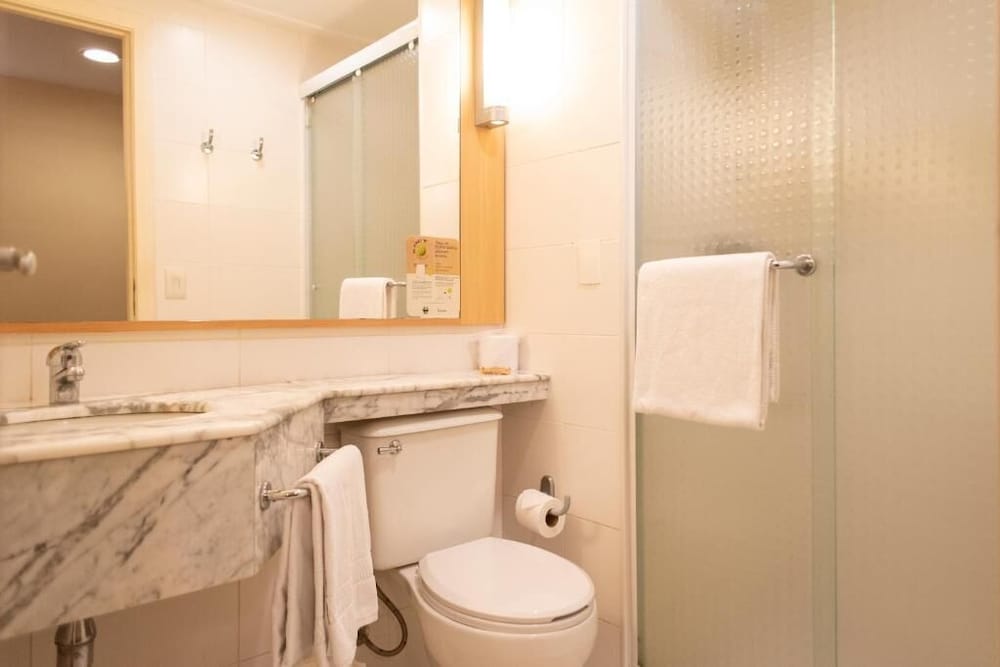 Apartamento estándar con 1 cama doble del hotel ibis São Paulo Barra Funda. Foto 6