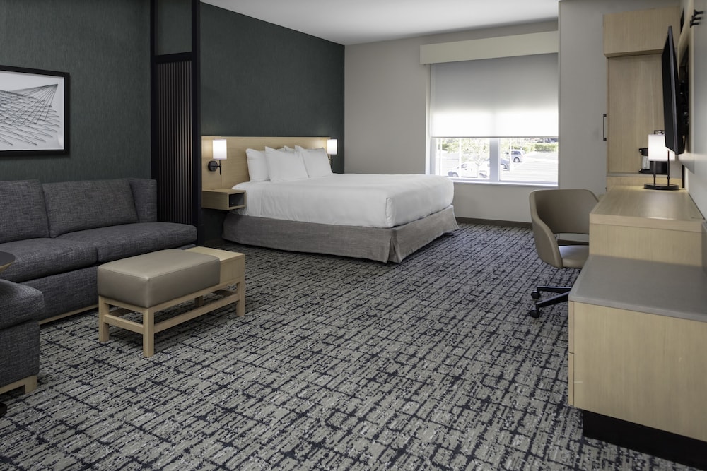 Accesible | Cama King / Ducha de acceso lateral (más sofá cama) del hotel Hyatt Place Charlotte/University Research Park. Foto 1