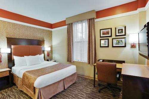 Habitación - No fumadores - Cama grande del hotel The Hotel @ Fifth Avenue. Foto 10