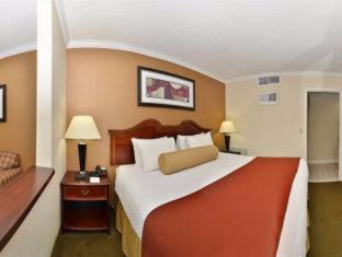 Habitación con ducha accesible en silla de ruedas - 1 cama grande - Adaptado para personas con movilidad reducida del hotel Best Western Galleria Inn and Suites. Foto 2