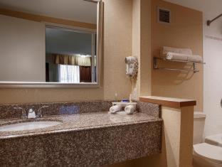 Habitación con ducha accesible en silla de ruedas - 1 cama grande - Adaptado para personas con movilidad reducida del hotel Best Western Galleria Inn and Suites. Foto 4