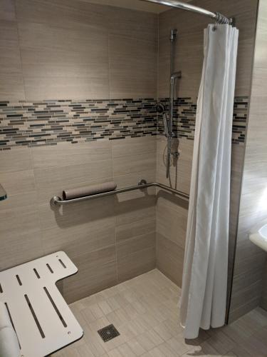 1 Cama King con Ducha Accesible del hotel Hyatt Regency Dallas. Foto 1