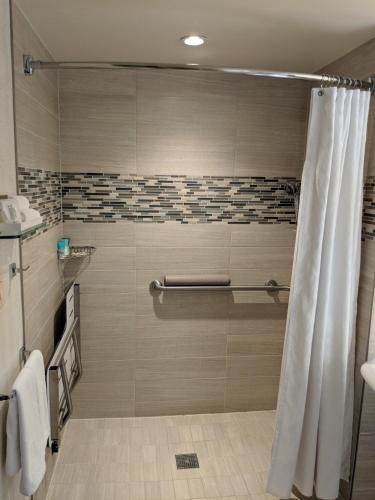 1 Cama King con Ducha Accesible del hotel Hyatt Regency Dallas. Foto 3