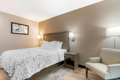 Habitación Premium con cama extragrande y ducha accesible en silla de ruedas (Cama mejorada) - No fumadores del hotel Red Roof Inn PLUS+ Jamaica, NY