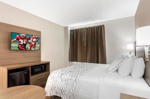 Habitación Superior con cama extragrande - No fumadores del hotel Red Roof Inn PLUS+ Jamaica, NY. Foto 11