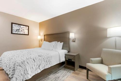 Habitación Estándar con cama grande - No fumadores del hotel Red Roof Inn PLUS+ Jamaica, NY. Foto 5