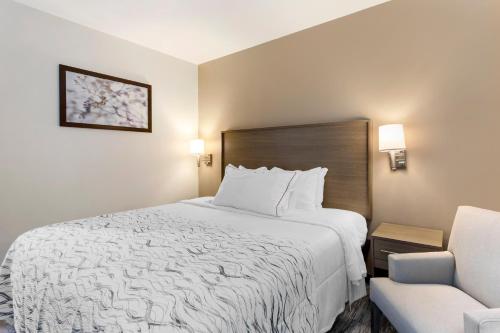 Habitación Superior con cama extragrande y ducha accesible en silla de ruedas - Adaptada para personas con discapacidad - No fumadores del hotel Red Roof Inn PLUS+ Jamaica, NY. Foto 1