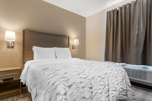 Habitación Deluxe - 1 cama grande - No fumadores del hotel Red Roof Inn PLUS+ Jamaica, NY. Foto 5