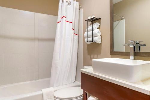 Habitación Prémium con cama extragrande, ropa de cama de categoría superior y caja de aperitivos - No fumadores del hotel Red Roof Inn PLUS+ Jamaica, NY. Foto 18