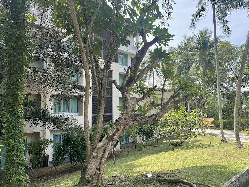 Habitación de Lujo con Vistas al Jardín, 2 Camas Individuales del hotel Sofitel Singapore Sentosa Resort and Spa. Foto 2