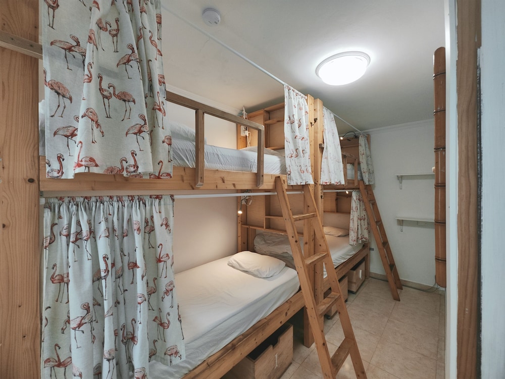 Dormitorio mixto 4 camas, baño compartido del hotel La Ventana Azul Surf Hostel