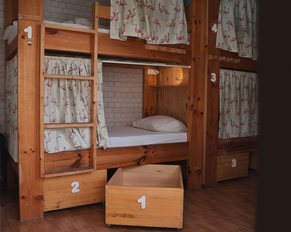 Dormitorio compartido superior, dormitorio mixto del hotel La Ventana Azul Surf. Foto 4