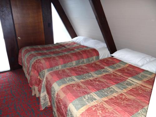 Chalet Superior del hotel Edelweiss Ski Lodge. Foto 10