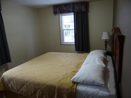 Apartamento con 4 dormitorios del hotel Edelweiss Ski Lodge. Foto 4