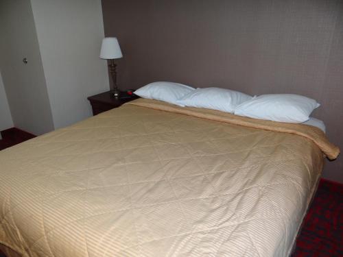 Apartamento con 4 dormitorios del hotel Edelweiss Ski Lodge. Foto 9