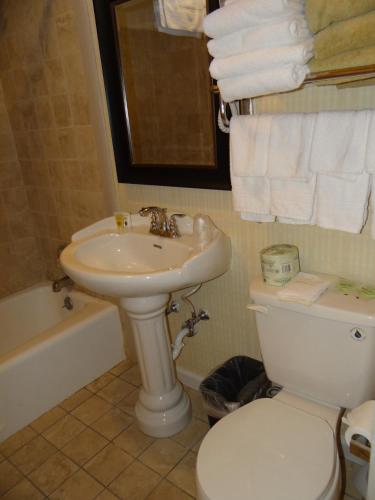 Apartamento con 4 dormitorios del hotel Edelweiss Ski Lodge. Foto 19
