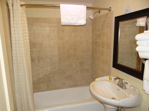 Apartamento con 4 dormitorios del hotel Edelweiss Ski Lodge. Foto 20