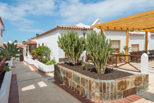 Apartamento Superior de 1 dormitorio del hotel El Beril Costa Adeje. Foto 9