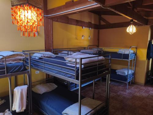 Cama en habitación compartida mixta de 10 camas del hotel Los Amigos Tenerife. Foto 4