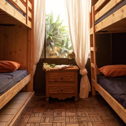 Litera en habitación compartida - Solo mujeres del hotel Los Amigos Tenerife. Foto 3