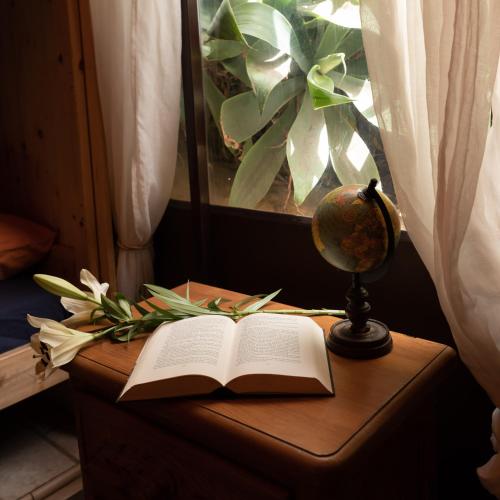 Litera en habitación compartida - Solo mujeres del hotel Los Amigos Tenerife. Foto 4