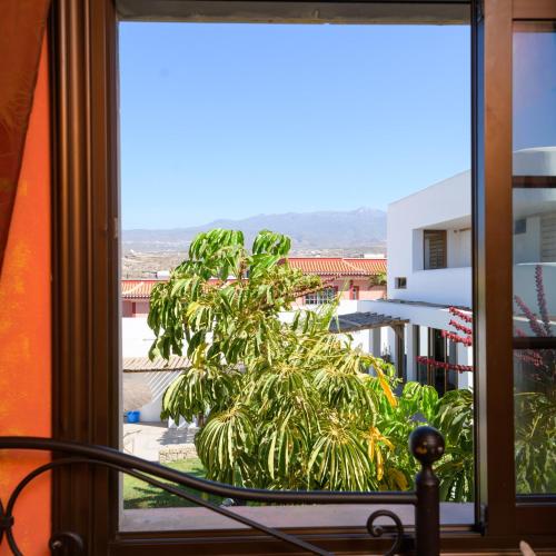 Habitación Doble Pequeña del hotel Los Amigos Hostel Tenerife. Foto 11