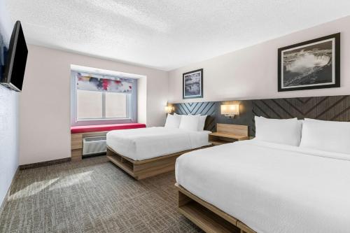 Habitación Doble con 2 camas grandes y ducha a ras de suelo - Acceso para personas de movilidad reducida/No fumadores del hotel Best Western Buffalo Inn and Suites
