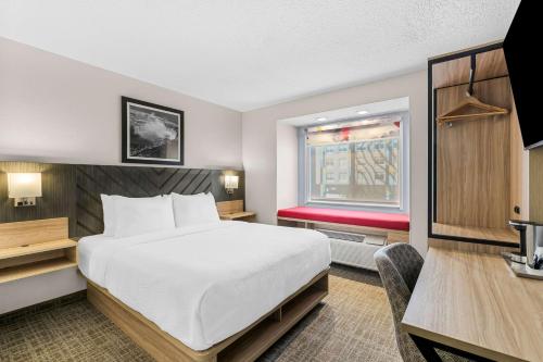 Suite Doble con sofá cama - No fumadores - Cama grande del hotel Best Western Buffalo Inn and Suites