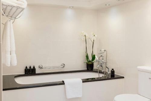 Suite Junior - en 2 niveles del hotel 41. Foto 8