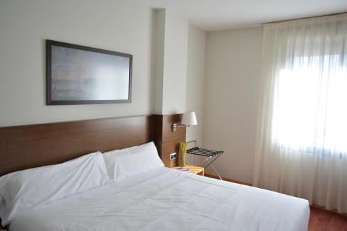Habitación Doble - 1 o 2 camas del hotel Palacio Congresos