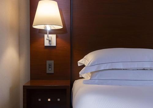 Habitación King Hilton del hotel Hilton Tokyo. Foto 5