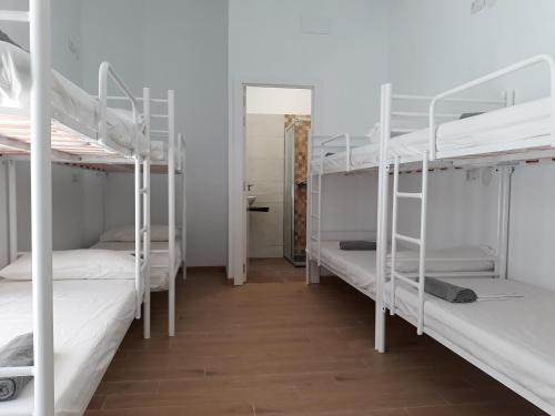 Cama individual en habitación compartida femenina del hotel Hub Seville. Foto 1