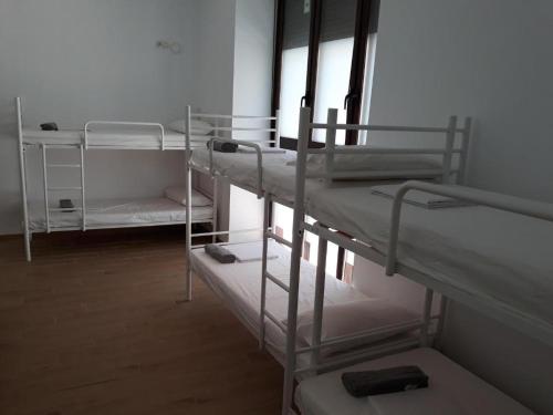 Cama en habitación compartida mixta de 10 camas del hotel Hub Seville. Foto 2