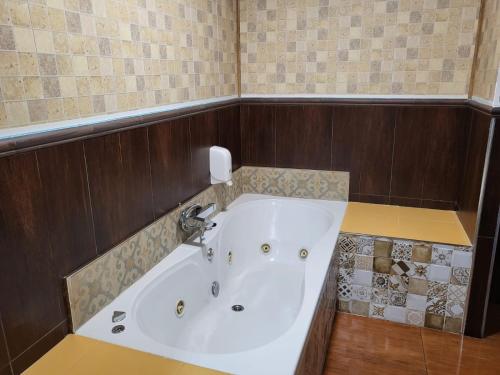 Habitación Doble Económica con bañera de hidromasaje del hotel Hostal Avenida Andalucia. Foto 2