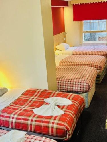 Habitación Familiar Grande con ducha y aseo privados del hotel Carlton. Foto 1